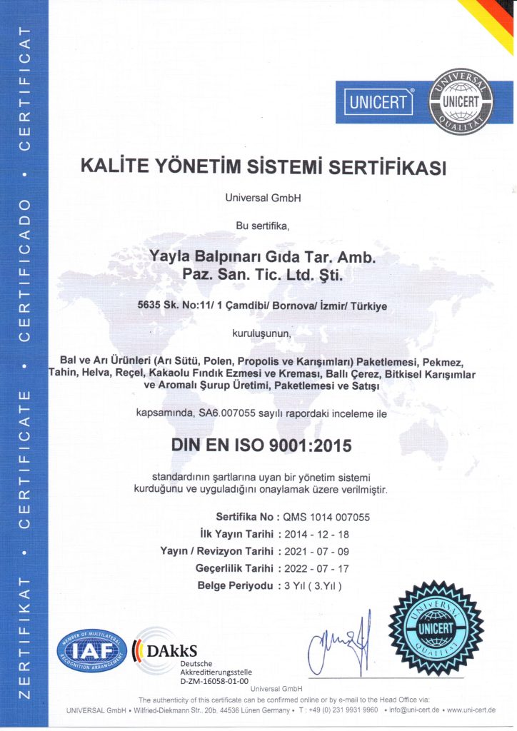 ISO-9001-Turkce-2022-scaled